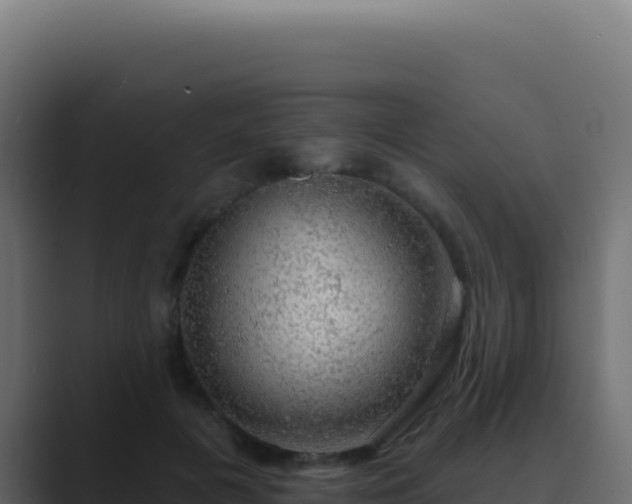 X0000089760601200706281645