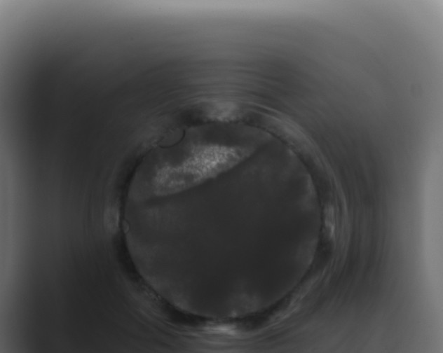 X0000089760602200706281645