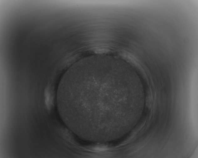 X0000089760604200706281645