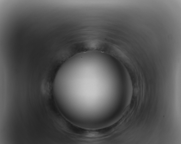 X0000089760605200706281645