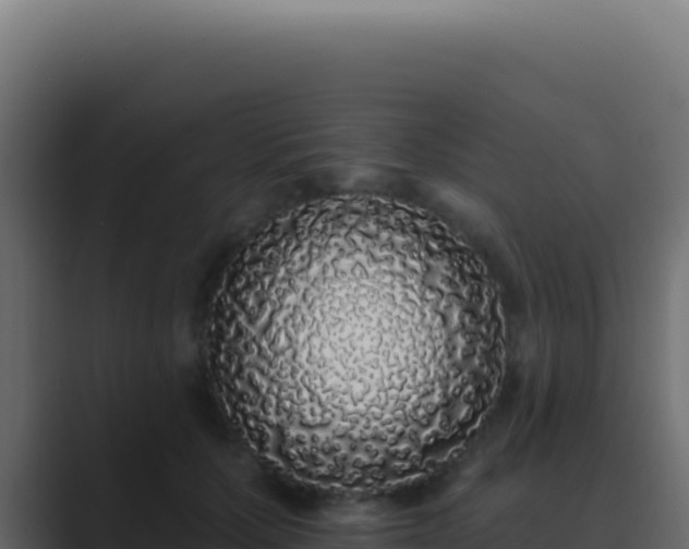 X0000089760607200706281645