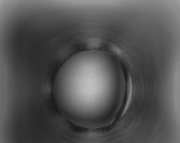 X0000089760608200706281645