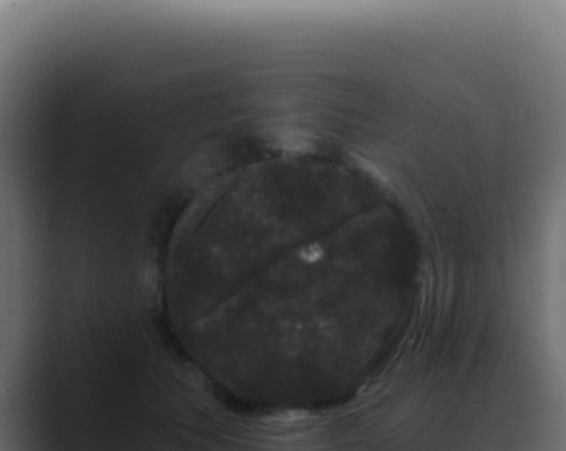 X0000089760609200706281645