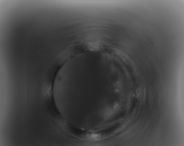 X0000089760610200706281645