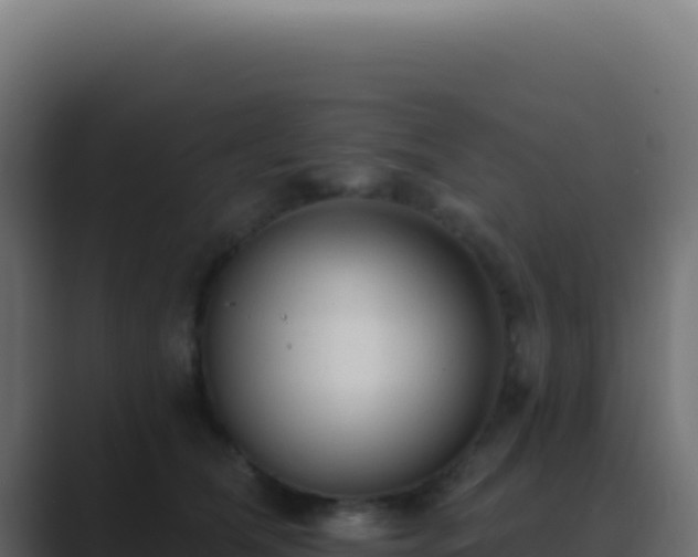 X0000089760612200706281645