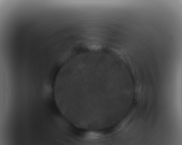 X0000089760614200706281645