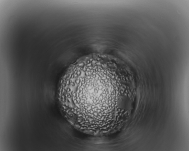 X0000089760615200706281645
