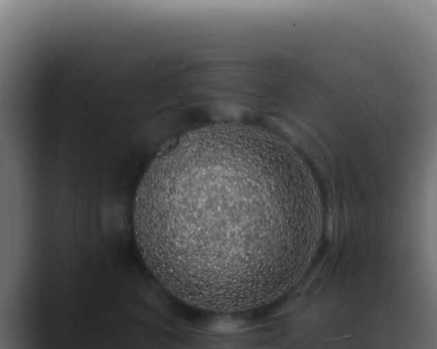 X0000089760616200706281645