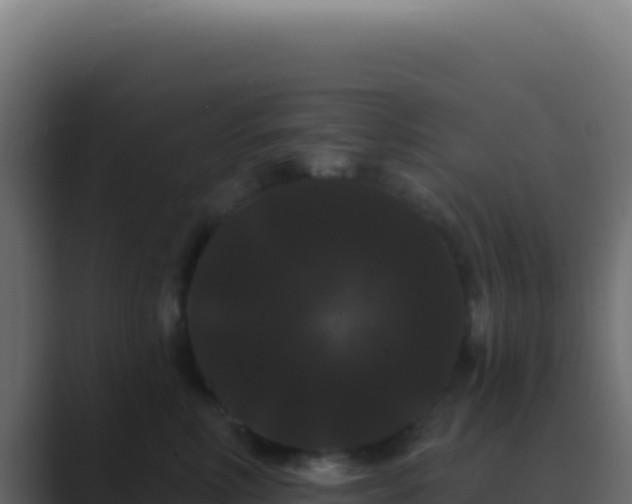 X0000089760618200706281645