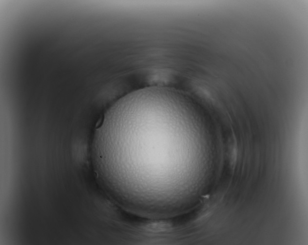 X0000089760619200706281645