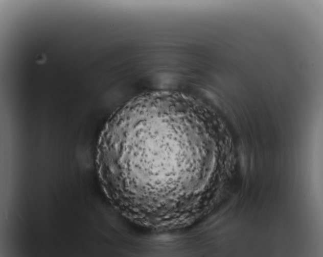 X0000089760620200706281645