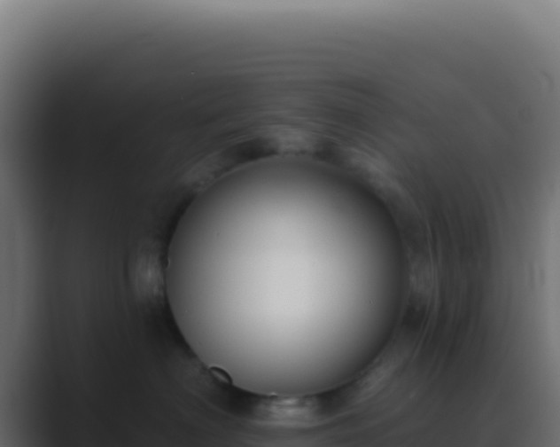 X0000089760622200706281645