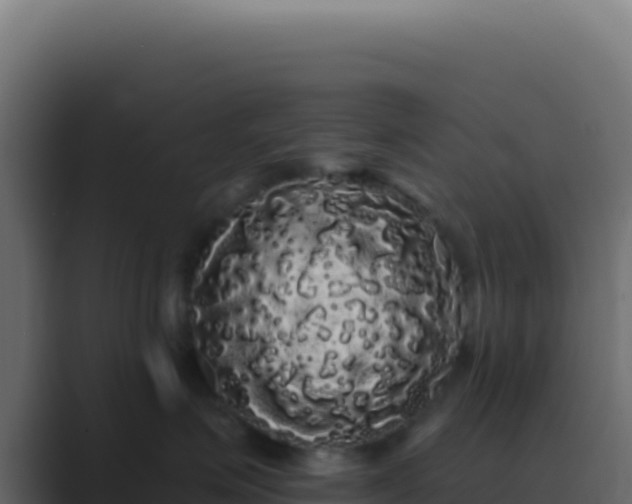 X0000089760623200706281645