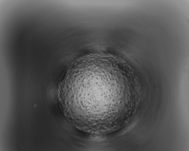 X0000089760624200706281645
