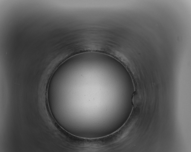 X0000089760625200706281644