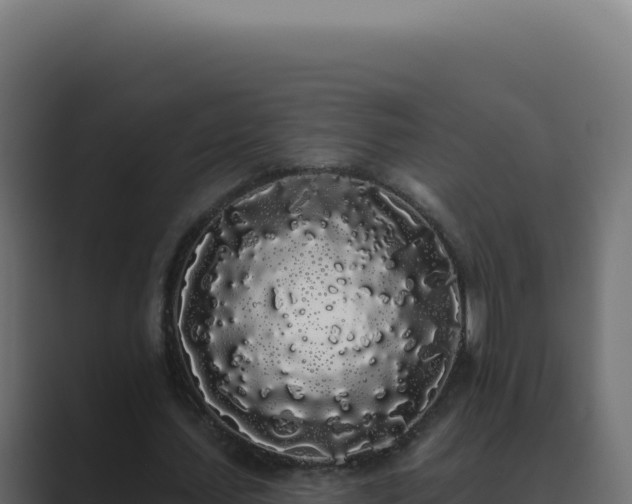 X0000089760627200706281644