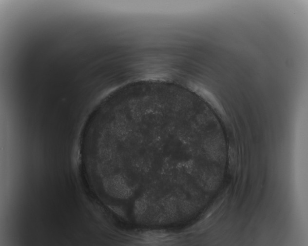 X0000089760628200706281644