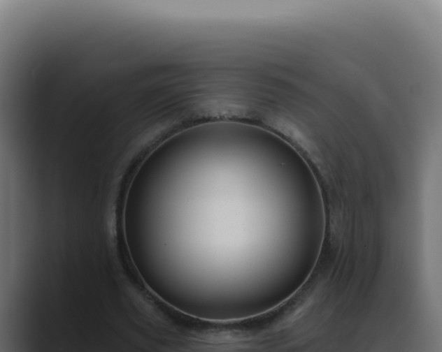 X0000089760629200706281644