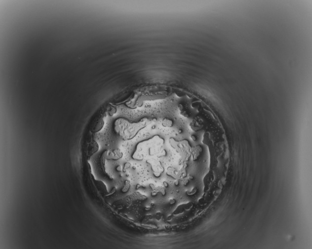 X0000089760630200706281644