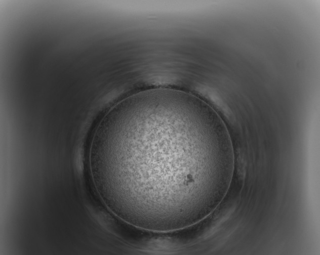 X0000089760631200706281644