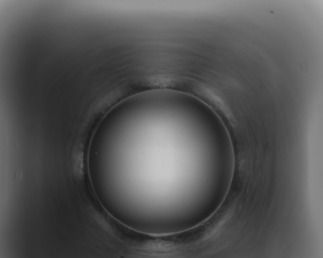 X0000089760633200706281644
