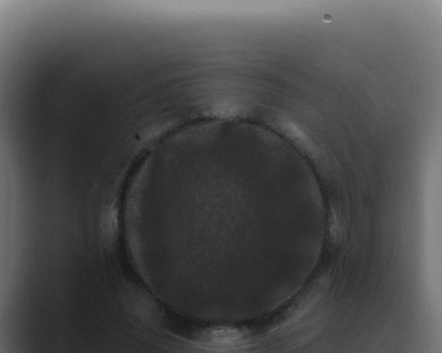 X0000089760636200706281644