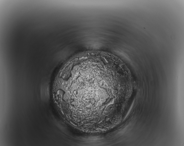 X0000089760638200706281644