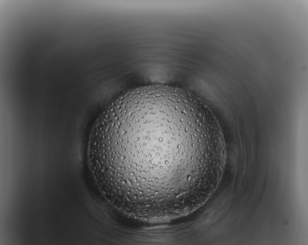 X0000089760639200706281644