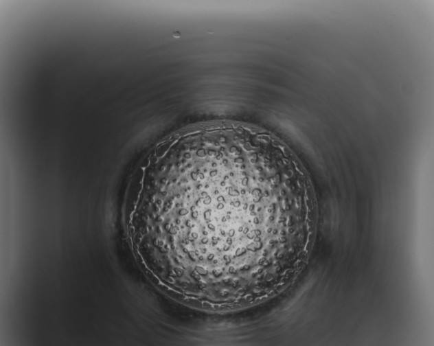 X0000089760640200706281644
