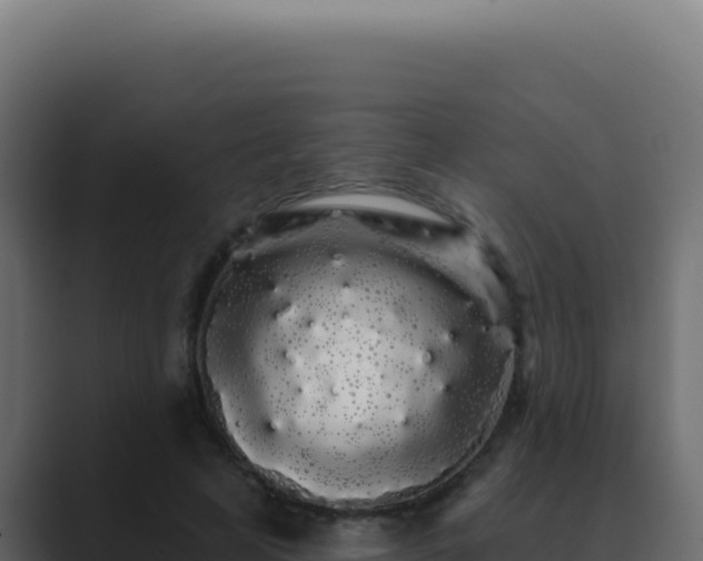 X0000089760641200706281644