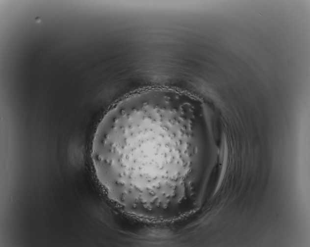 X0000089760644200706281644