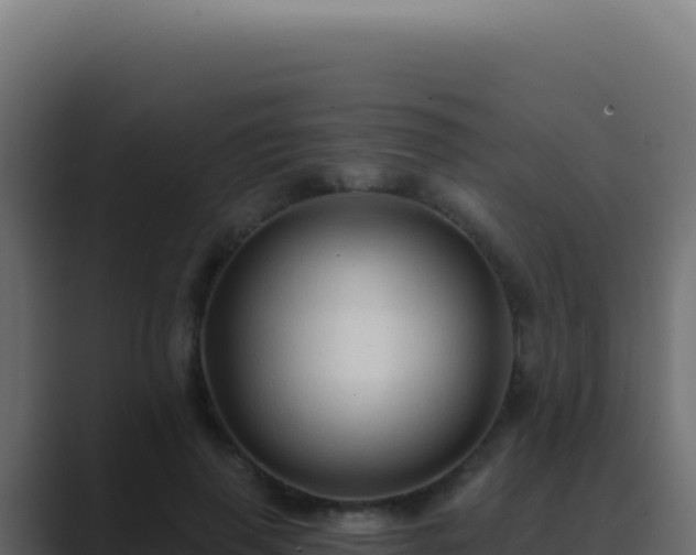 X0000089760645200706281644