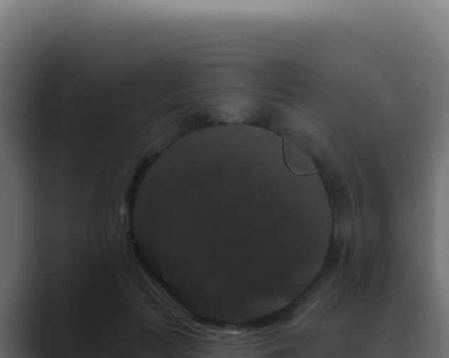 X0000089760647200706281644