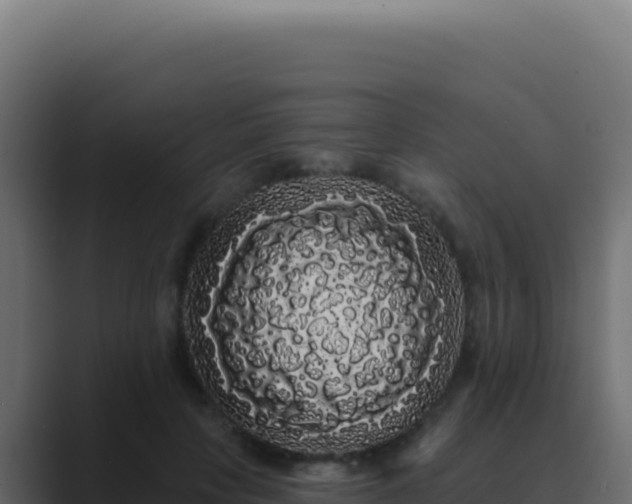 X0000089760649200706281644