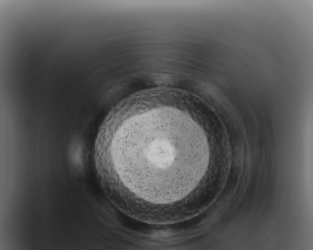 X0000089760653200706281644