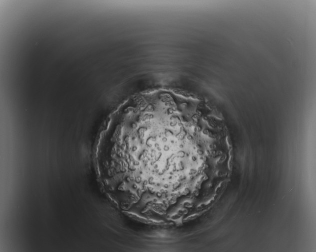 X0000089760657200706281644