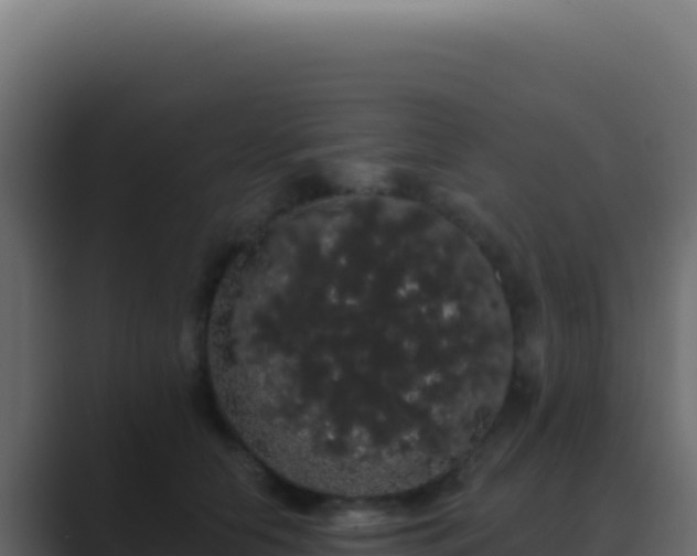 X0000089760658200706281644