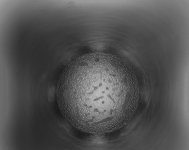 X0000089760660200706281644