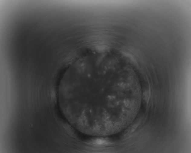 X0000089760662200706281644