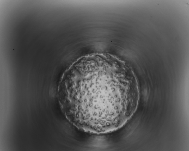 X0000089760665200706281645