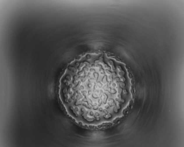 X0000089760670200706281645