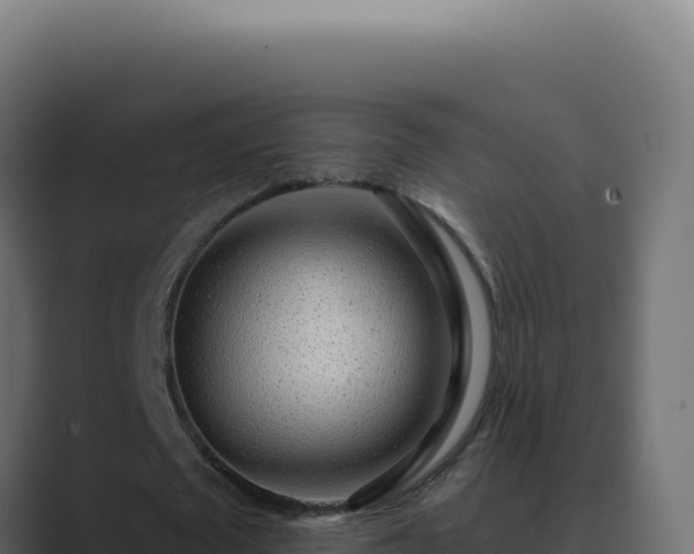 X0000089760673200706281644