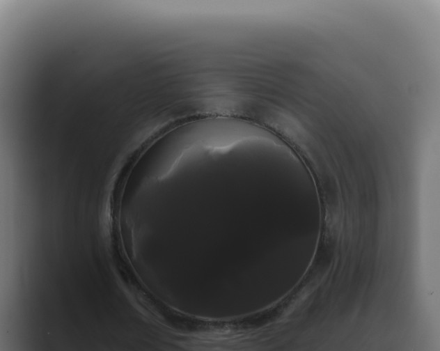X0000089760674200706281644