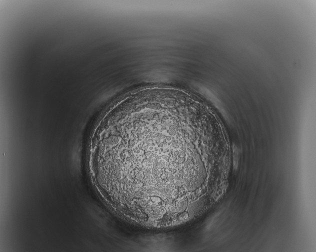 X0000089760675200706281644