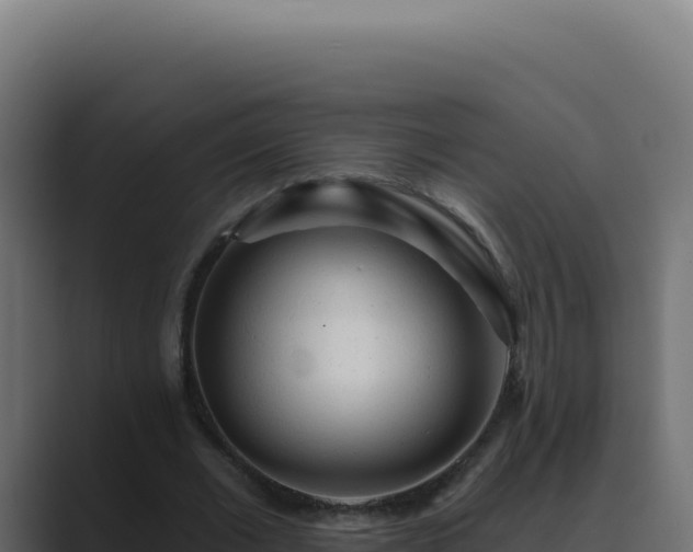 X0000089760677200706281644