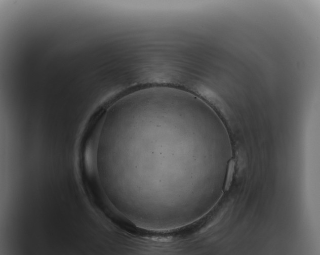 X0000089760680200706281644