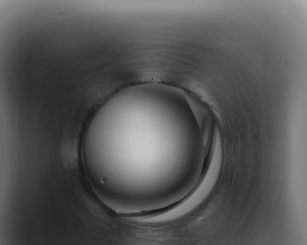 X0000089760681200706281644