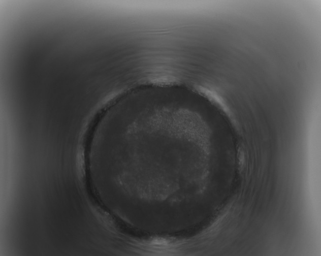 X0000089760684200706281644