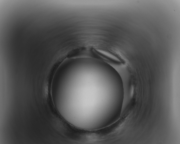 X0000089760685200706281644