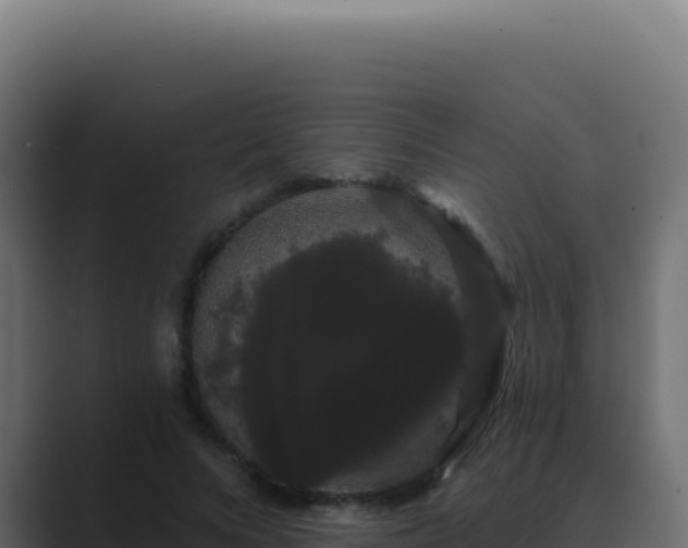 X0000089760688200706281644